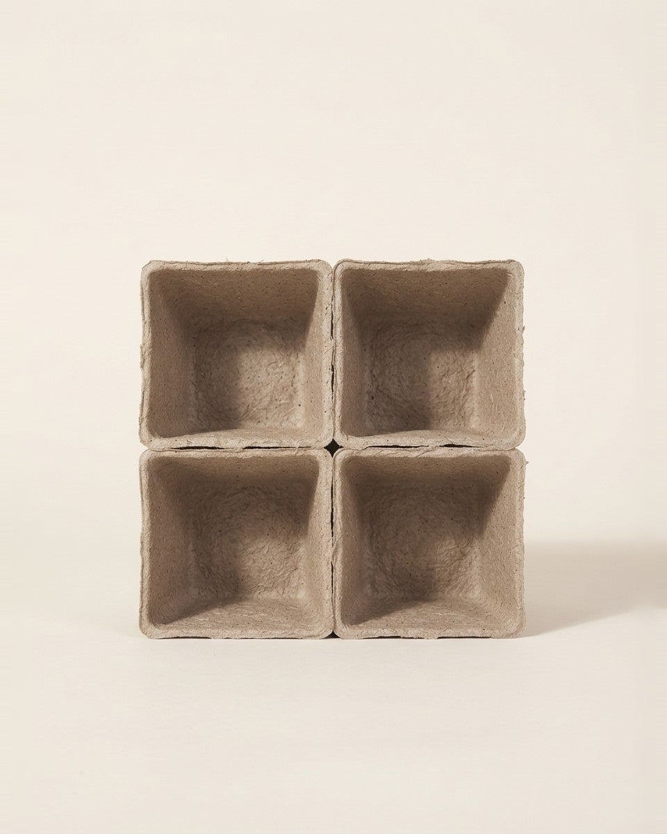 Recycled Paper Pots, 4″ (4-pack) حوض نباتات