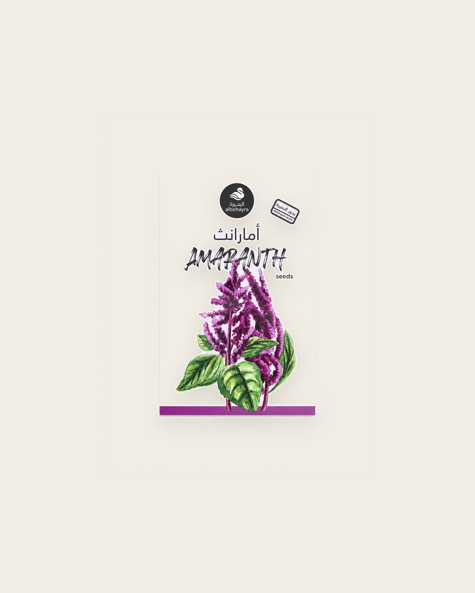 Red amaranth seeds بذور امارانث احمر