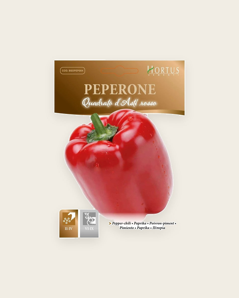Red Capsicum Seeds (Paprika) بذور الكابسيكوم الأحمر (بابريكا)