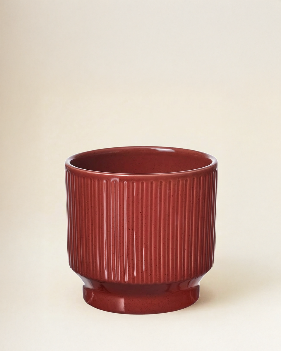Ridge Planter – Red (12 cm)