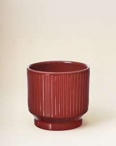 Ridge Planter – Red (12 cm)
