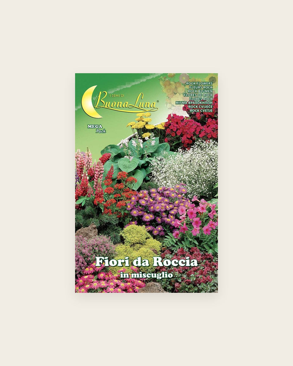 Rock Flowers