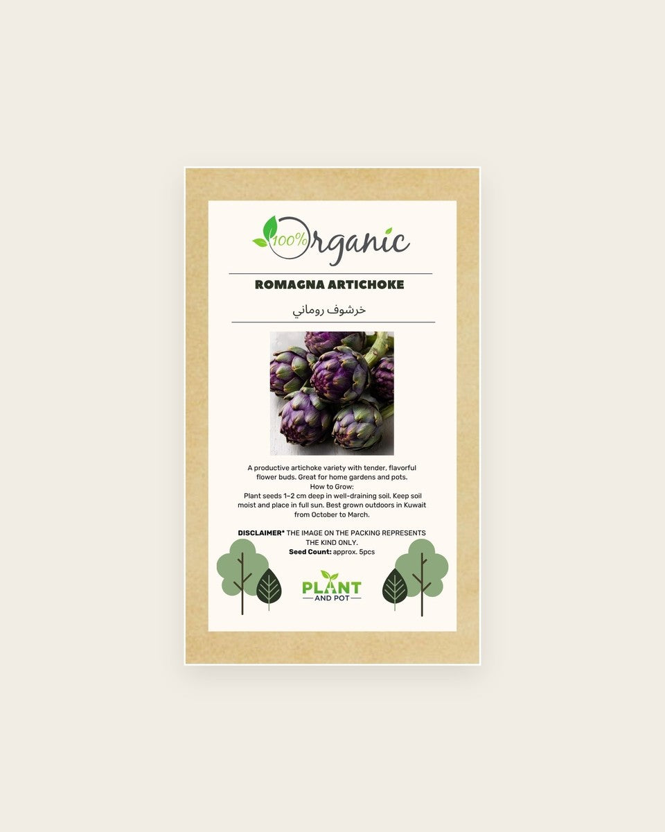 Romagna Artichoke Seeds بذور خرشوف روماني