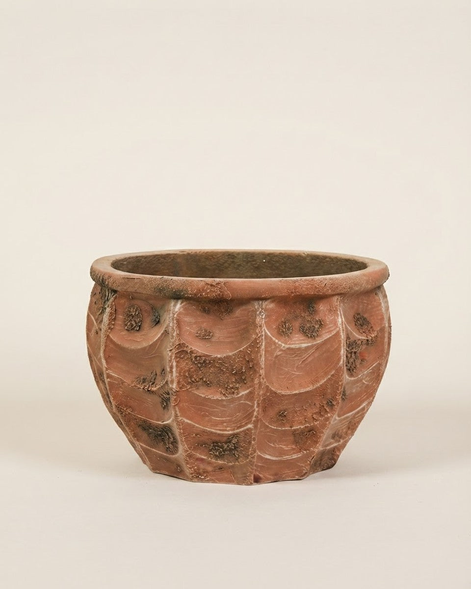 Round Fiber Cement Pot – 23 CM حوض نباتات