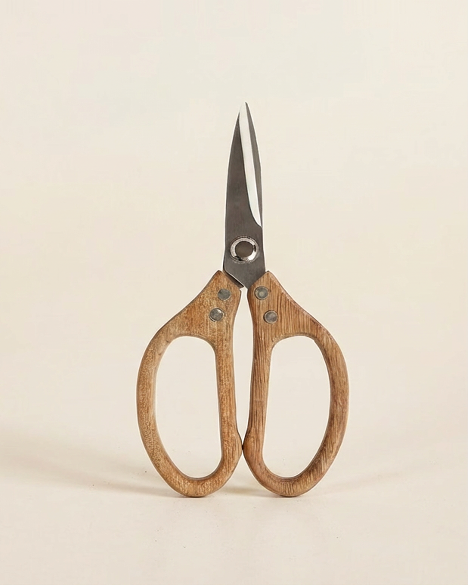 Pruning Scissors