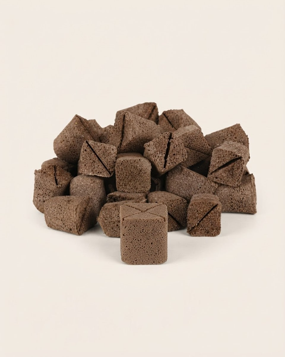 Seed Germination Cubes - Seeding Hydroponic / Soil Sponge - Pack of 10pcs تربة