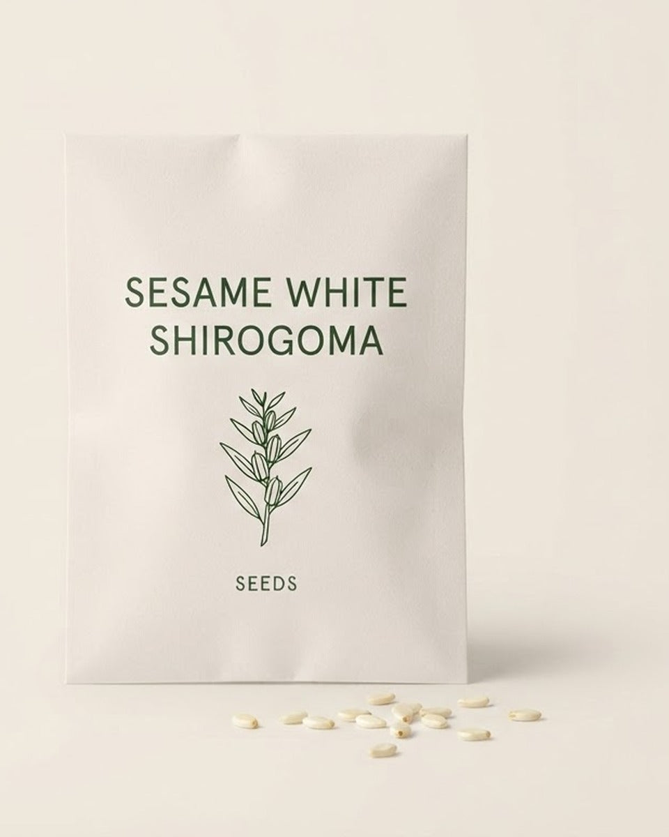 Sesame White Shirogoma