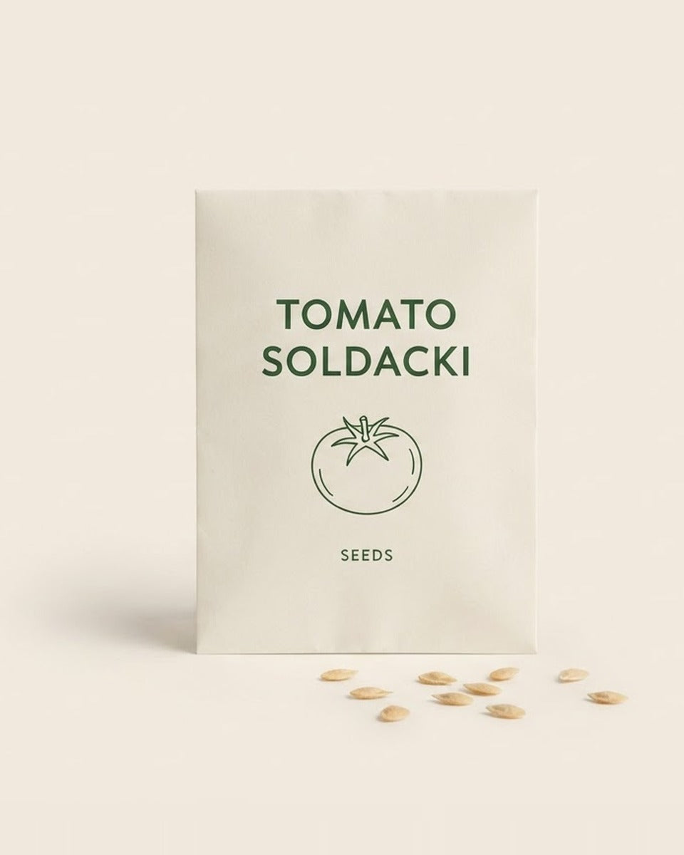 Tomato Soldacki