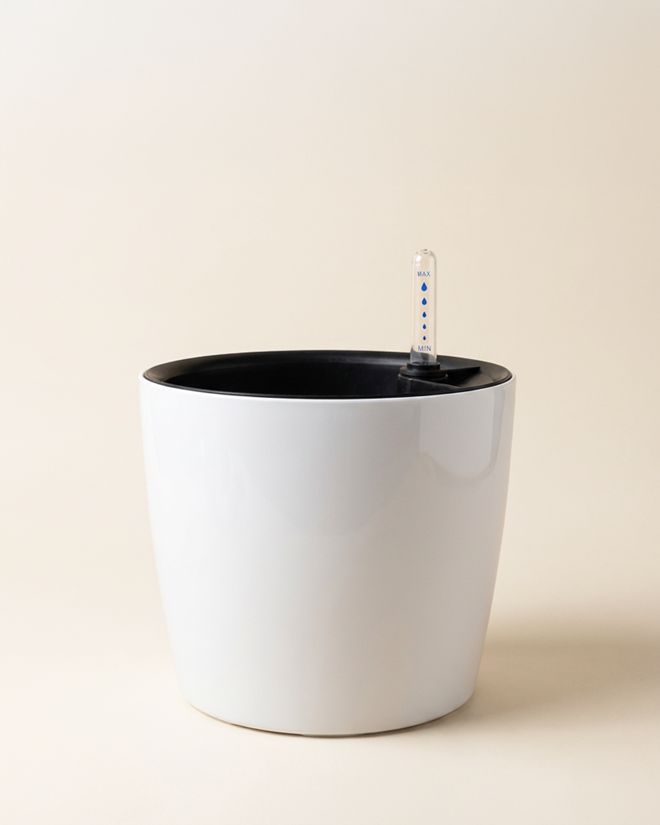 self watering planter with water level indicator Self-Watering Pot with water meter – NABAT