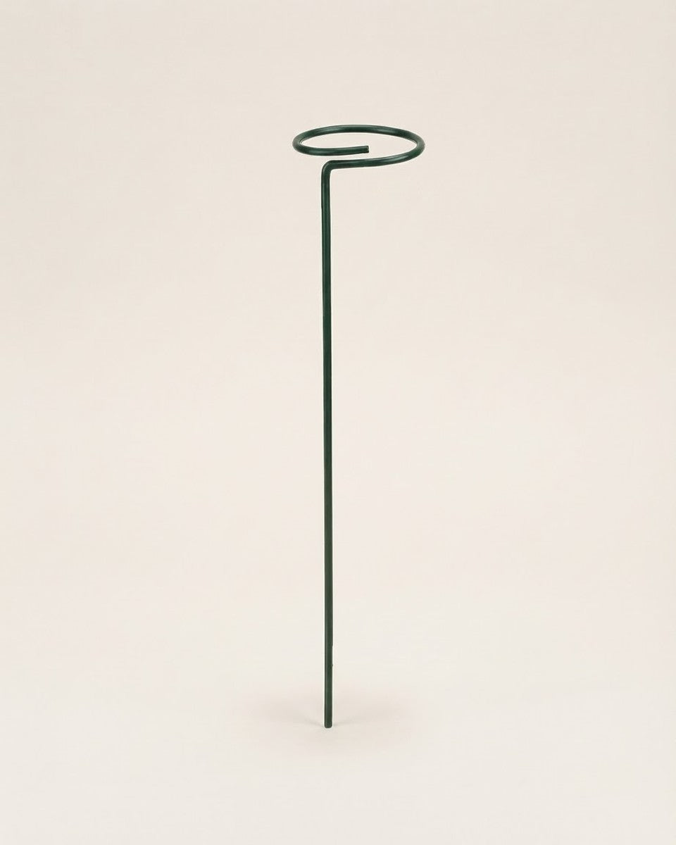 Single stem support stake with ring, green دعامة نباتات