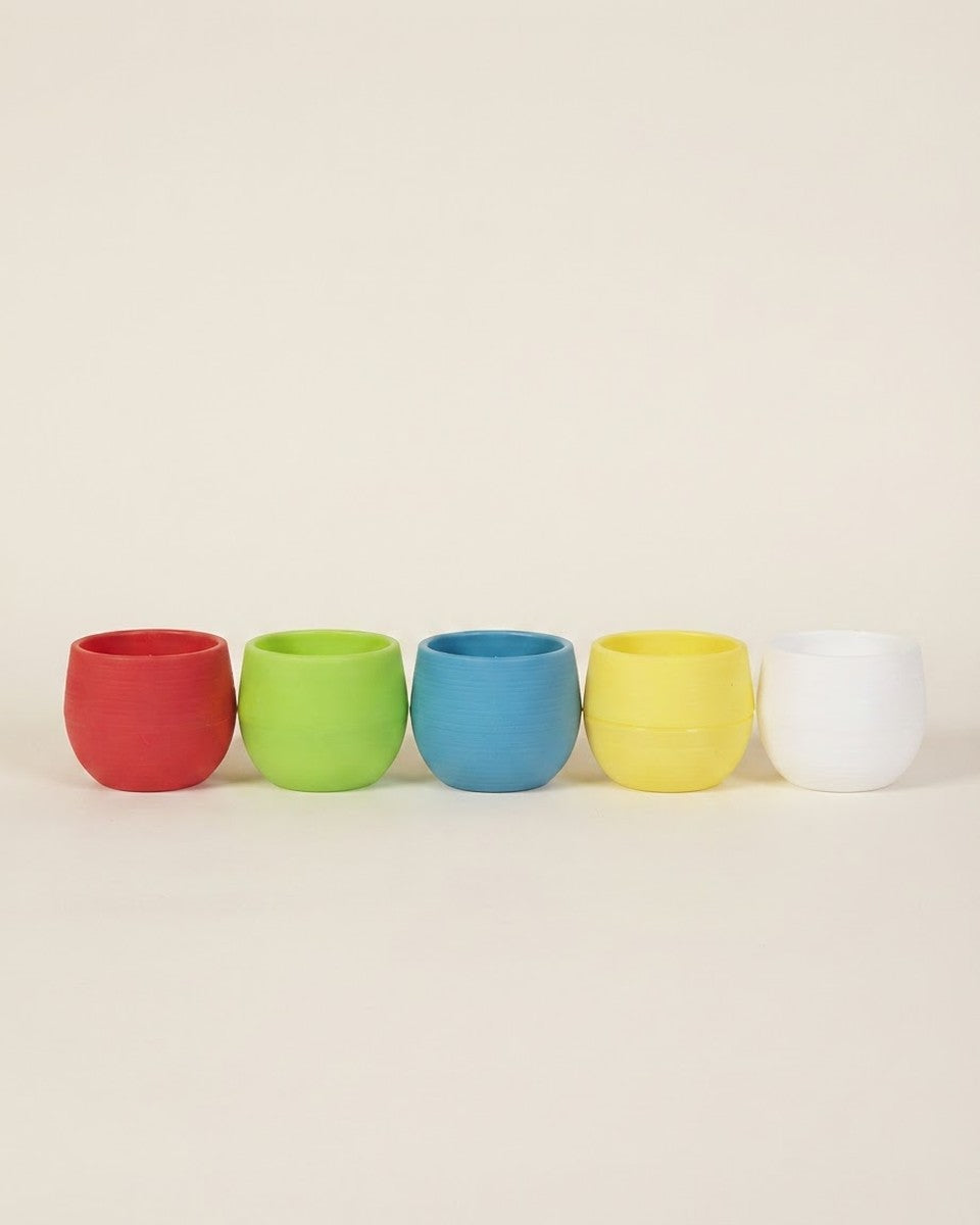 Small Cactus Pot أصيص صغير للصباريات