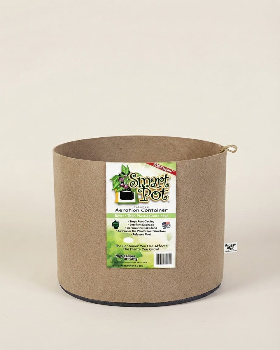 Smart Pot 200 Gallon Tan/Natural حوض نباتات