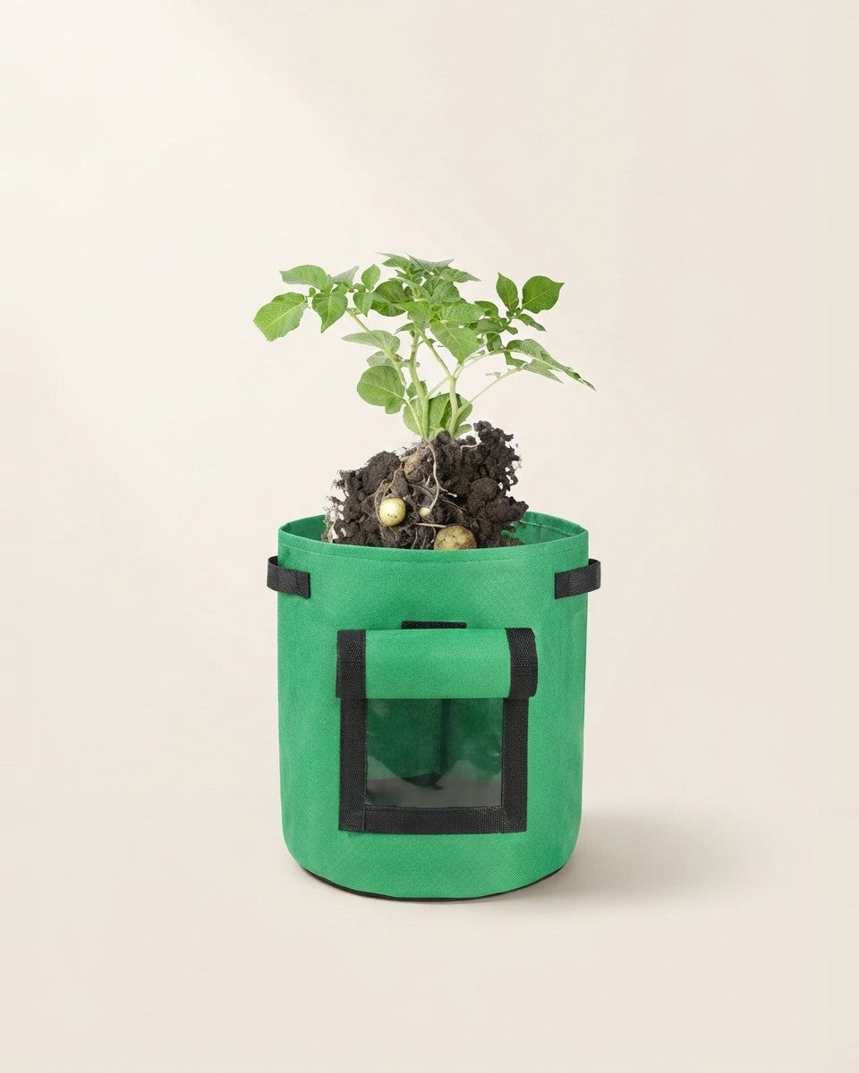 Smart Potato Grow Bag كيس سمارت لزراعة البطاطس
