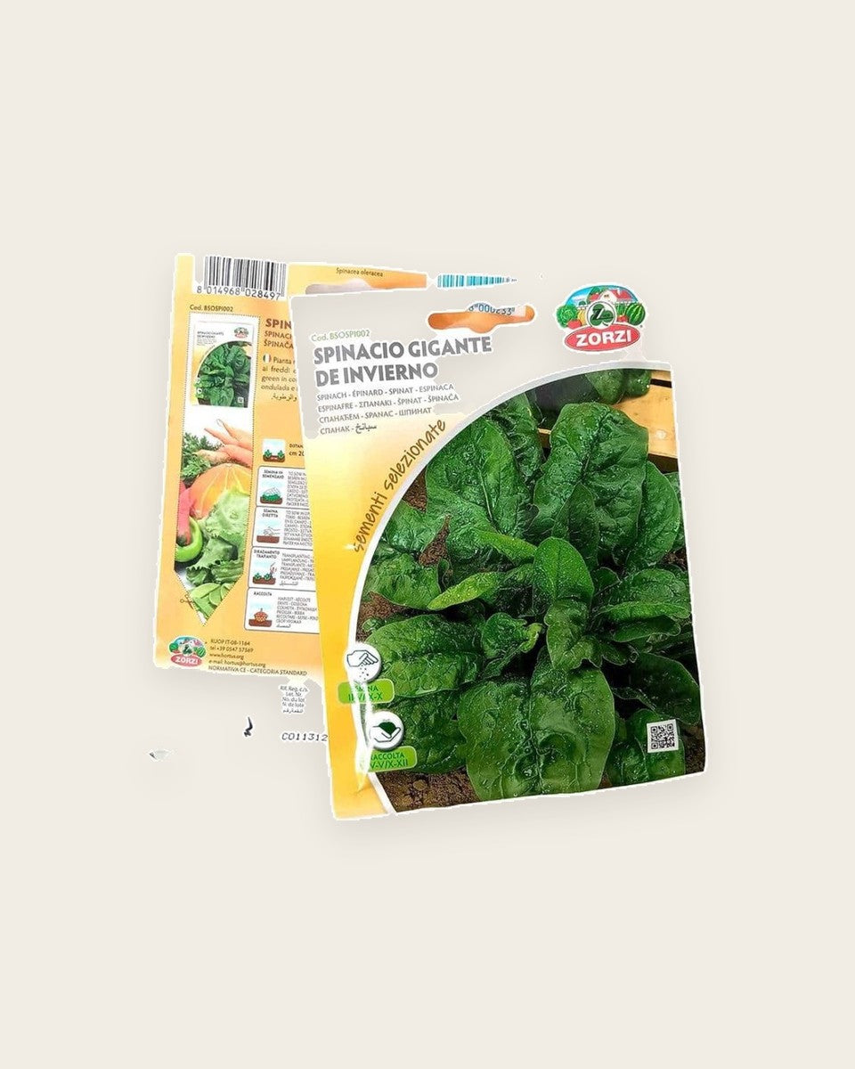 Spinach Seeds