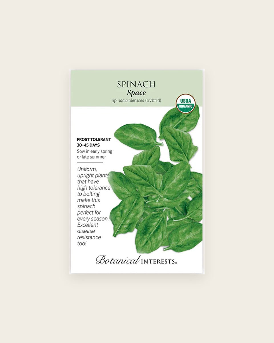 Spinach, Space Spinach