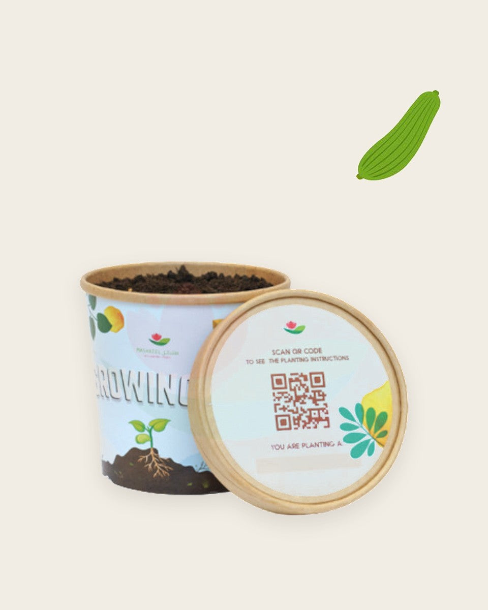 Sponge Gourd