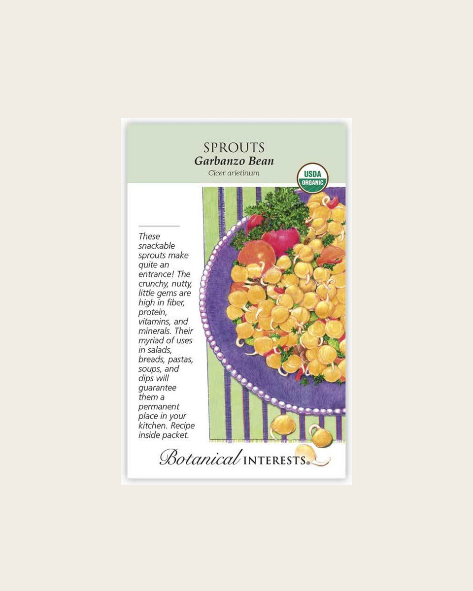 Sprouts, Garbanzo Bean Sprouts Seeds – Organic