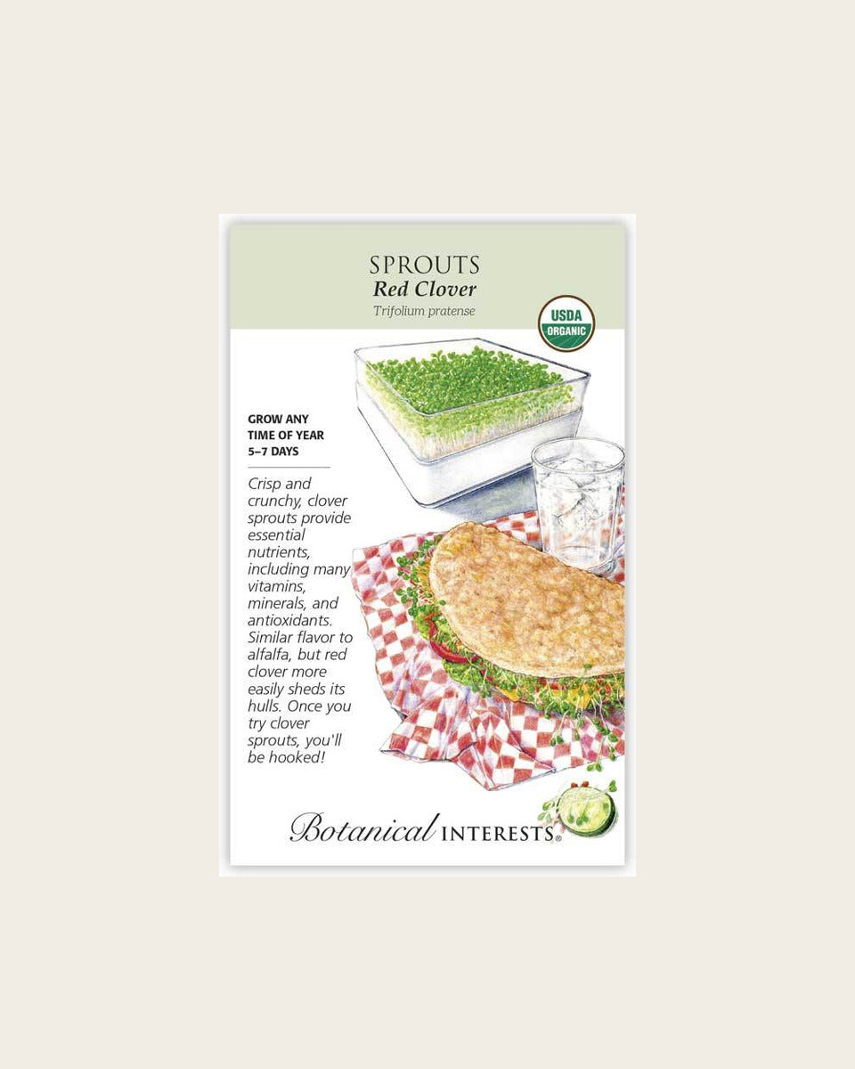 Sprouts, Red Clover Sprouts Seeds – Organic