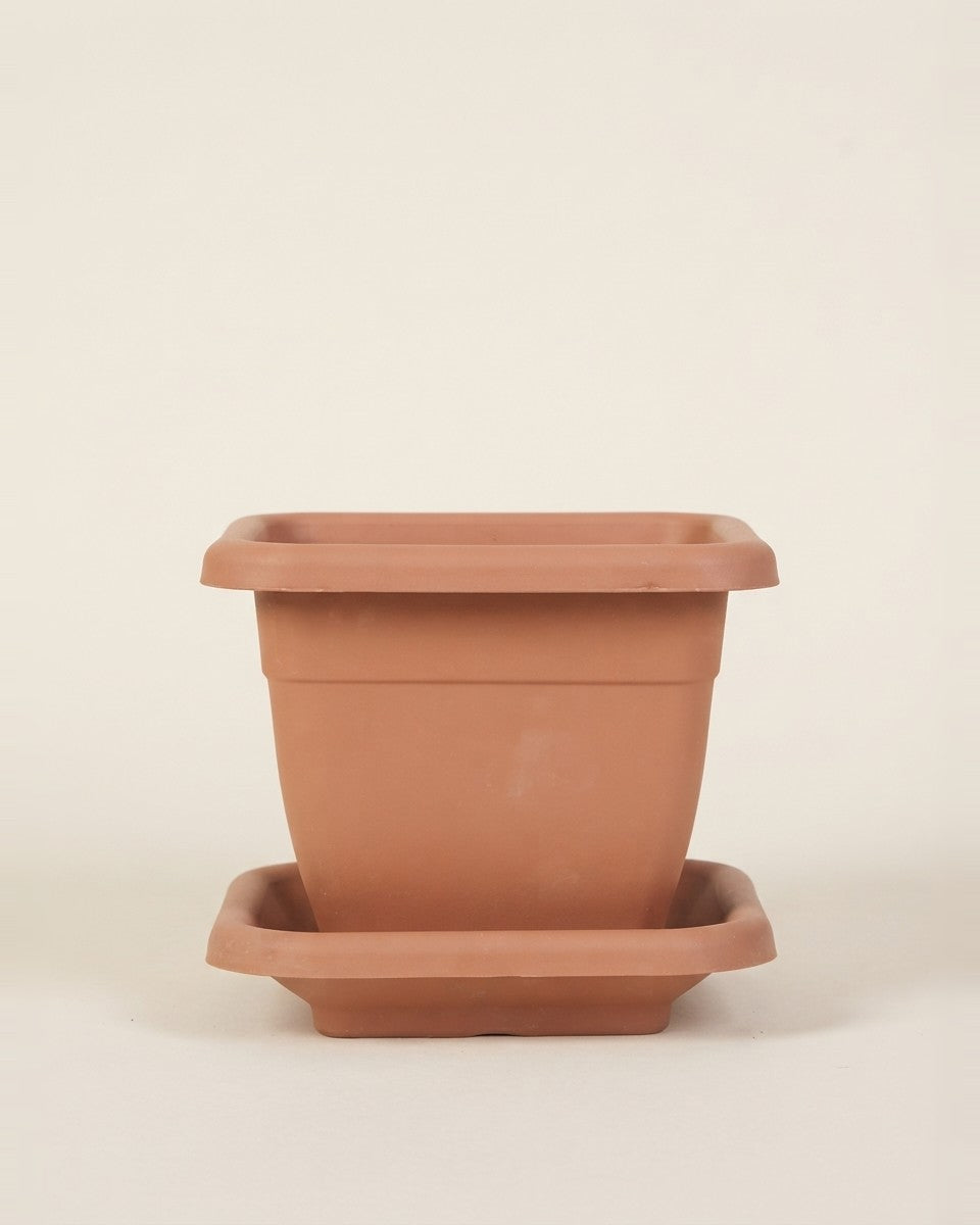 Square Plastic Pot – 17 CM حوض نباتات