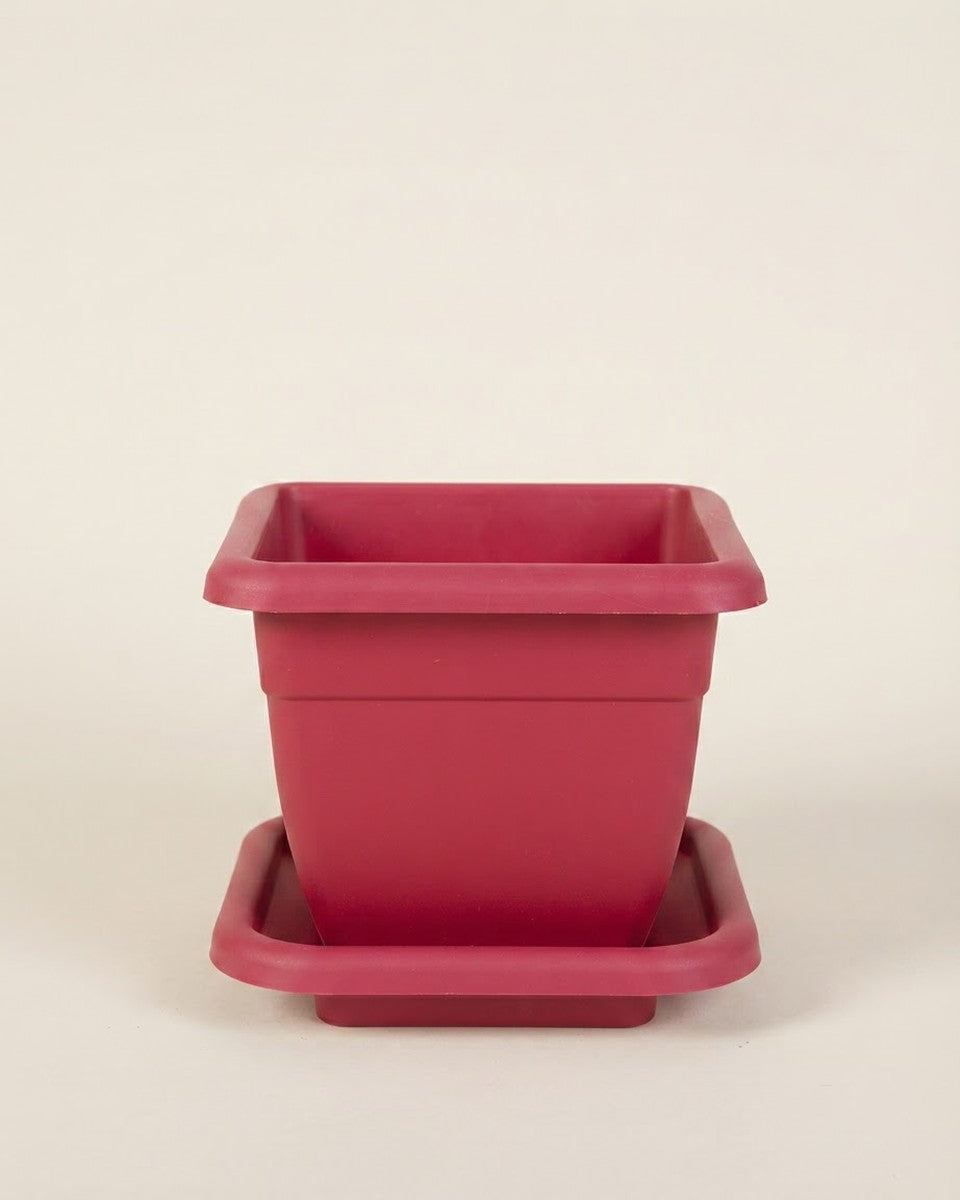 Square Plastic Pot – 30 CM (Red) حوض نباتات