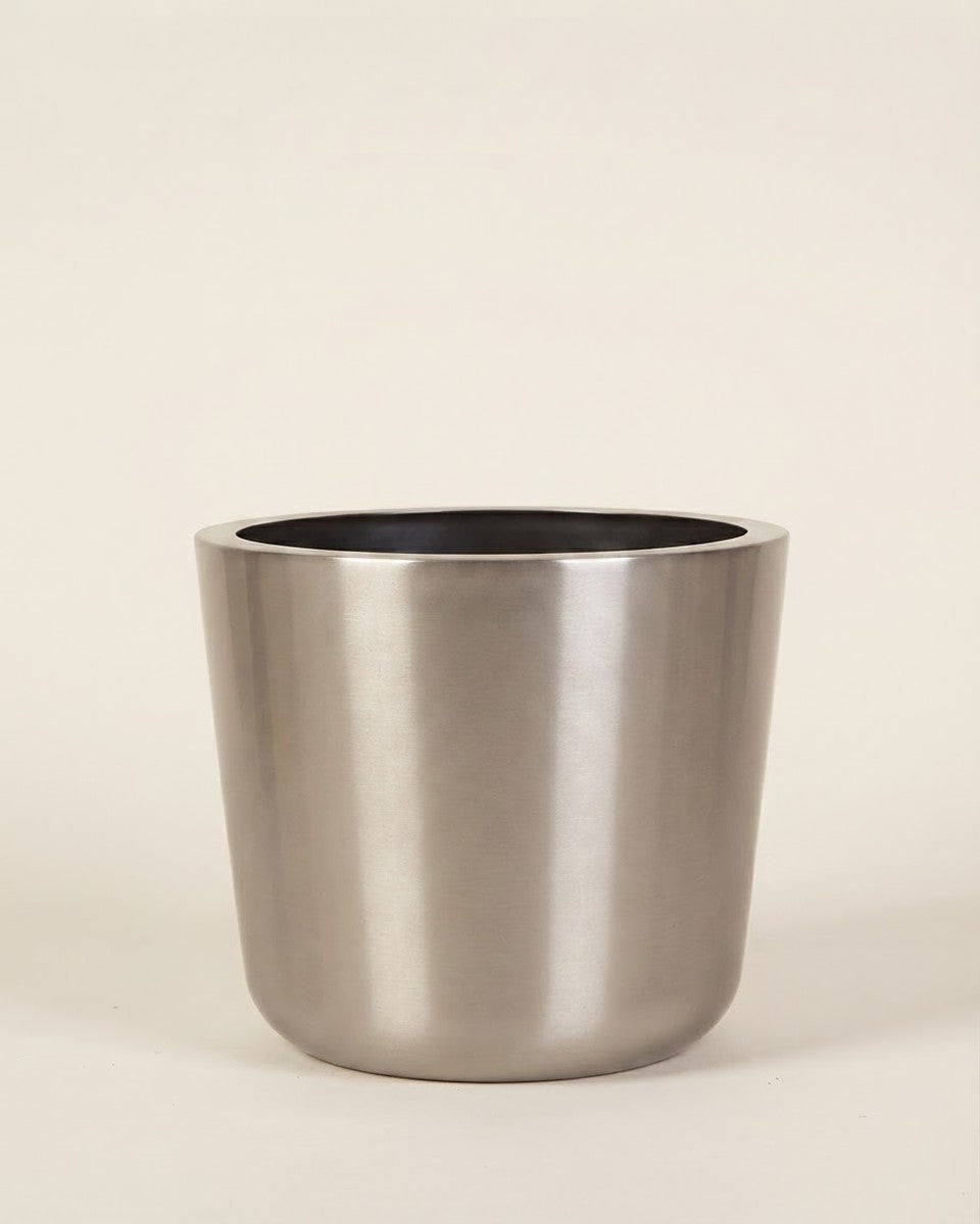 Ss Conica Plus Silver 30*20