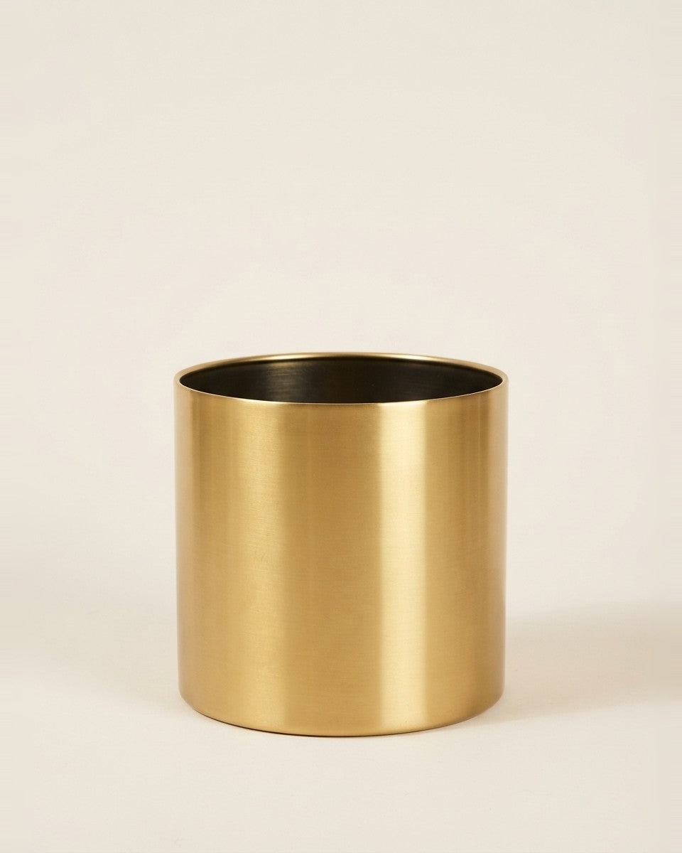 Ss Prime Tt Gold 12*12