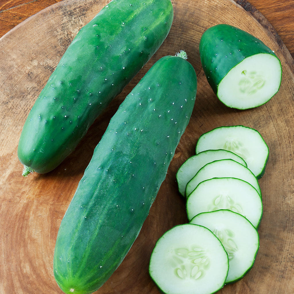 Cucumber Straight Eight - supplier photo