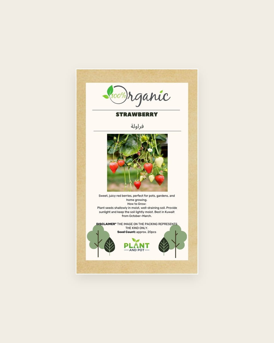 Strawberry Seeds بذور فراولة