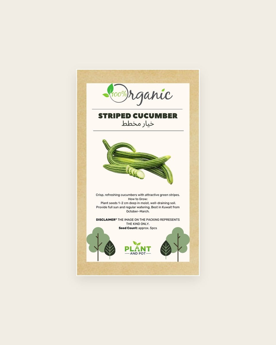 Striped Cucumber Seeds بذور خيار مخطط