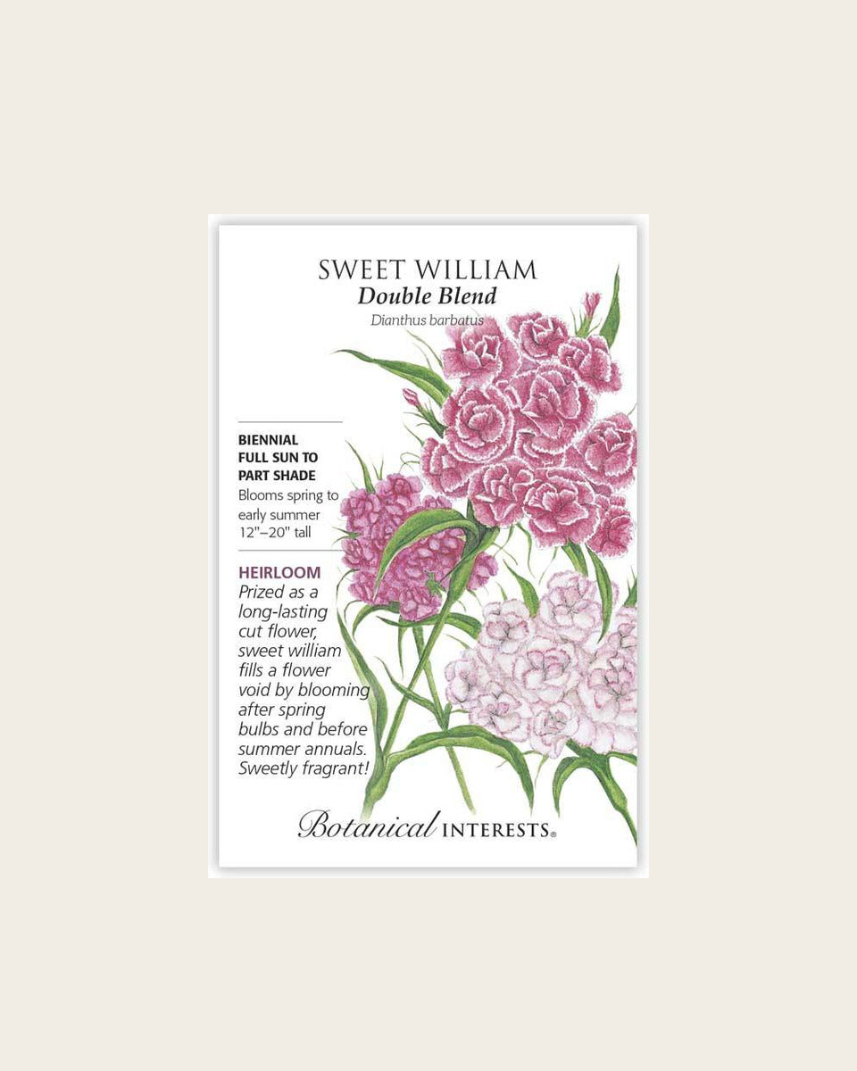 Sweet William, Double Blend Sweet William Seeds – Heirloom