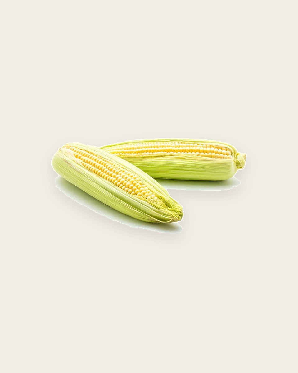 Sweetcorn Seeds بذور الذرة الحلوة