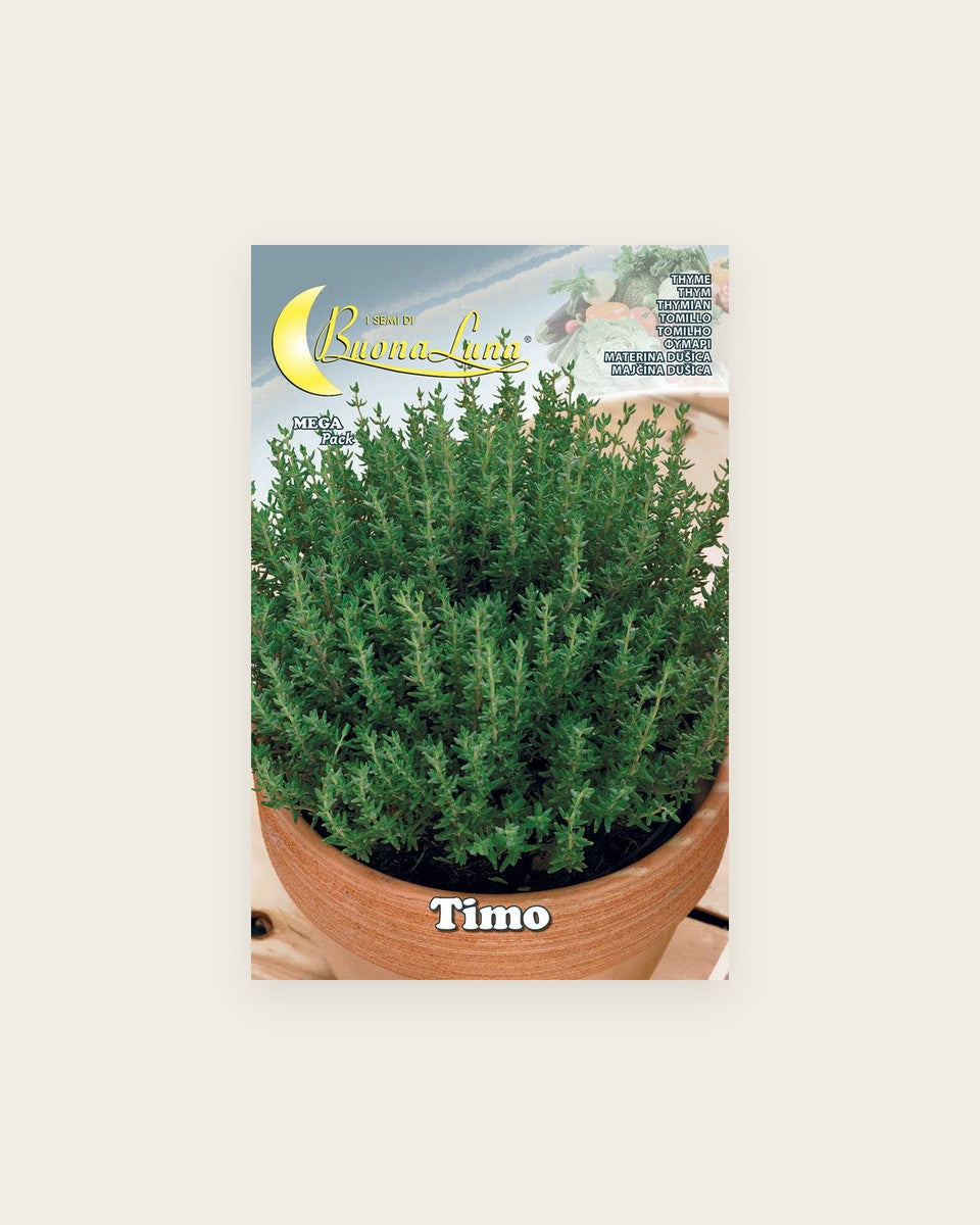 Thyme زعتر