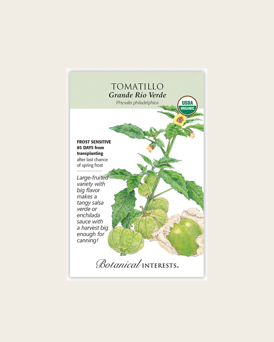 Tomatillo, Grande Rio Verde Tomatillo Seeds – Organic