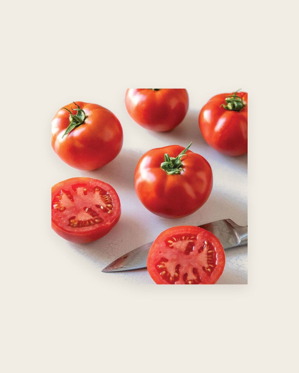Tomato Celebrity