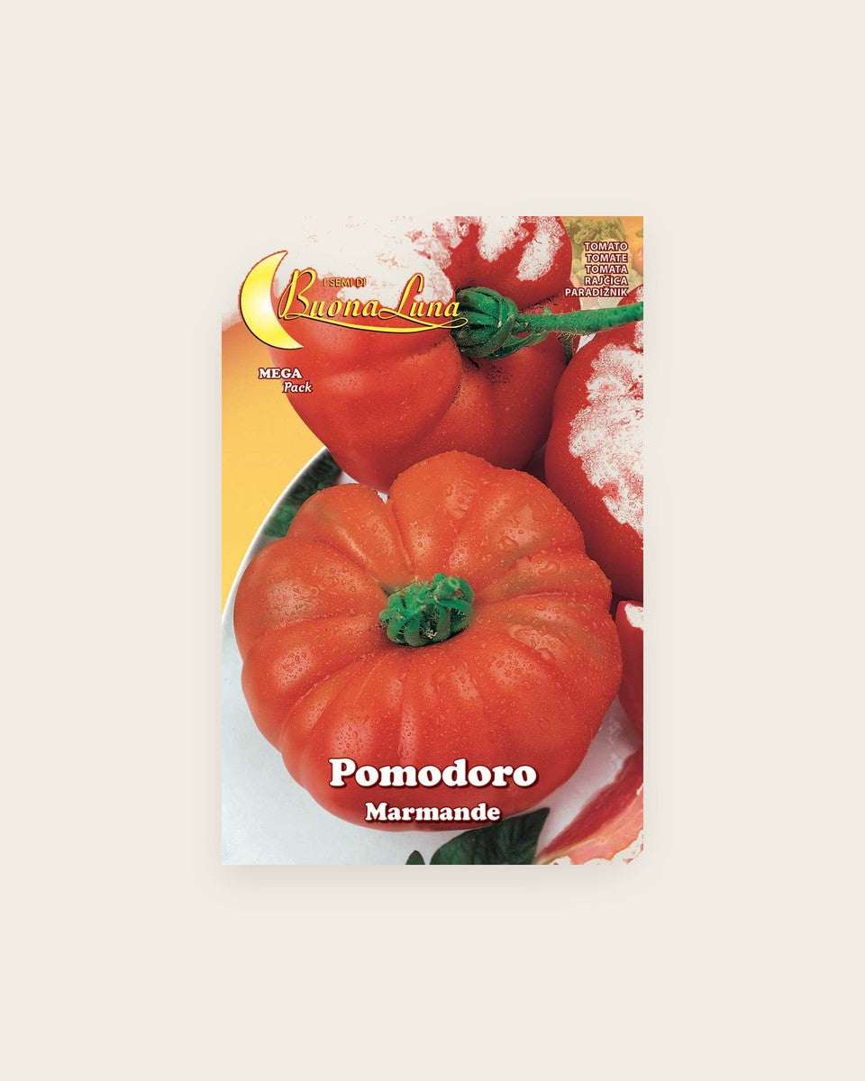 Tomato 'Marmande'