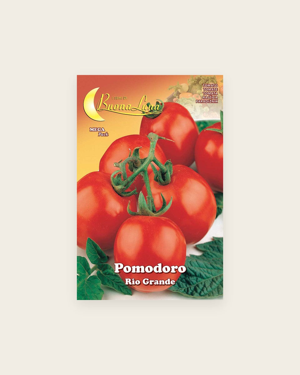 Tomato 'Rio Grande'