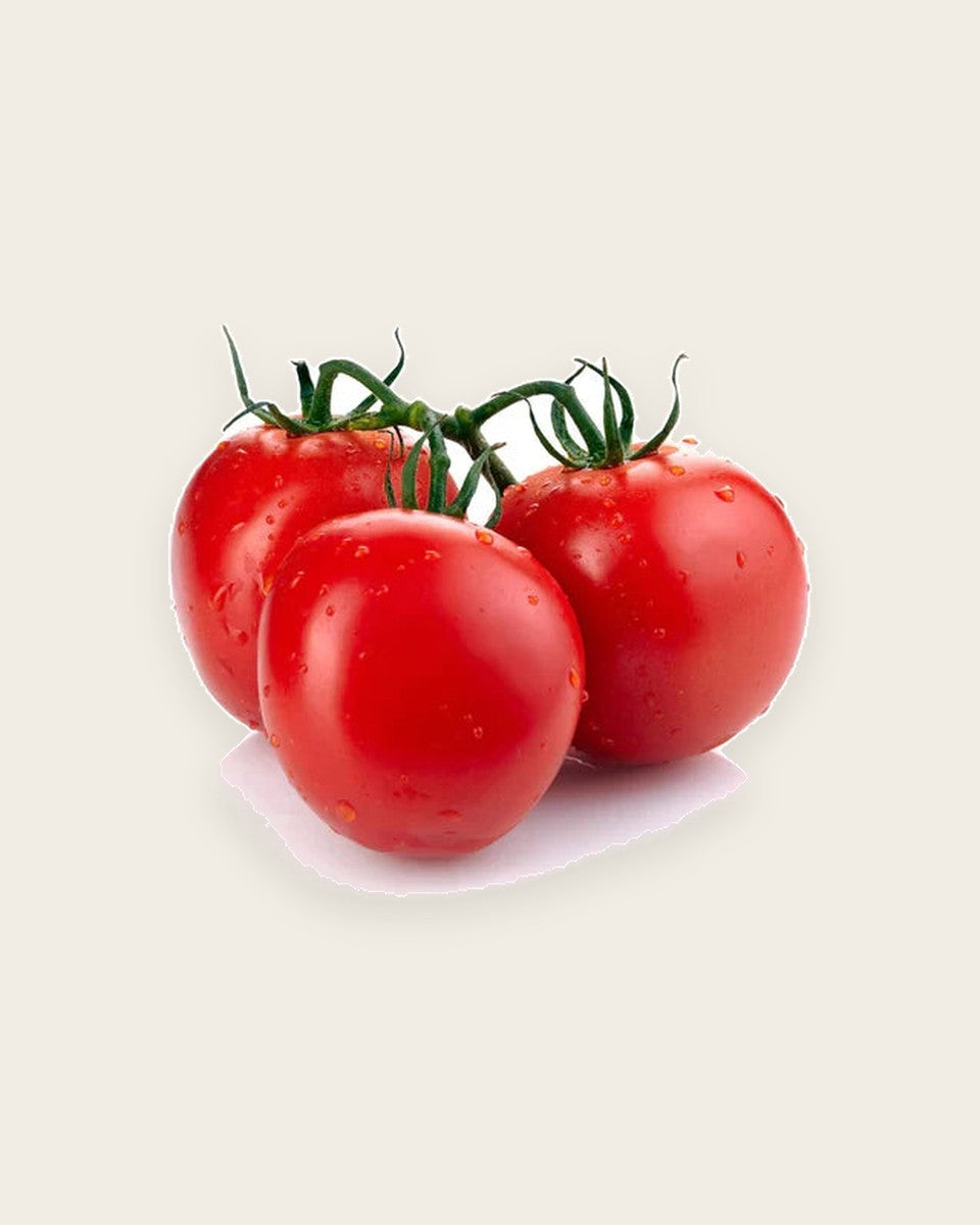 Tomato Seeds بذور الطماطم