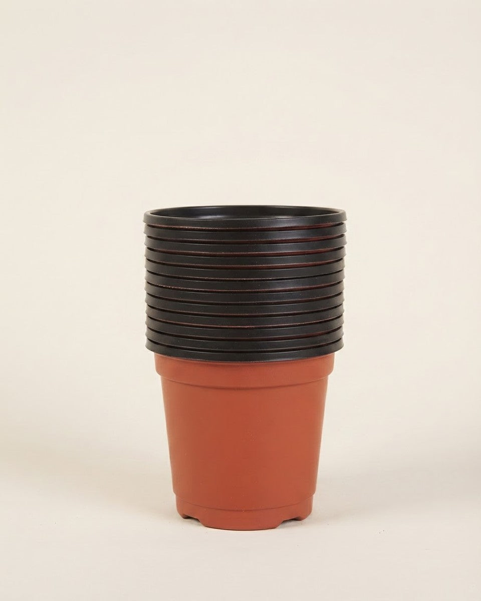 Transplanting Pot Tiny 12pc حوض نباتات