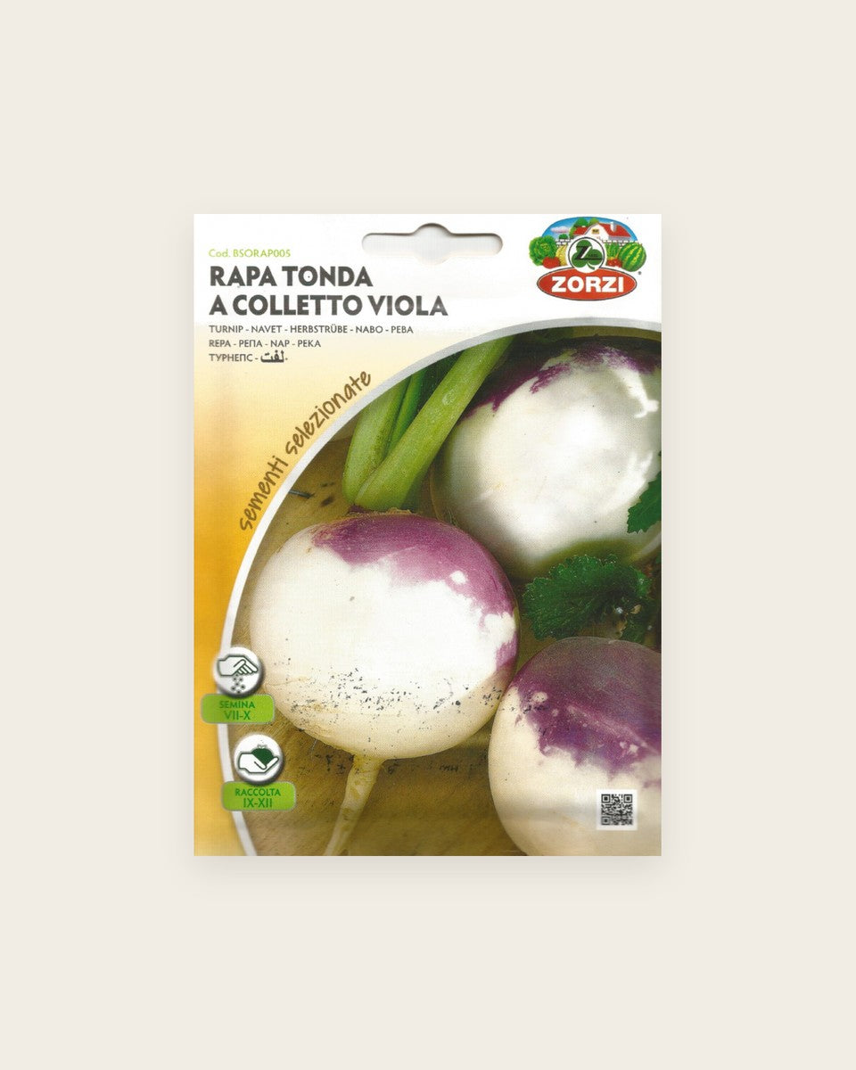 Turnip Seeds