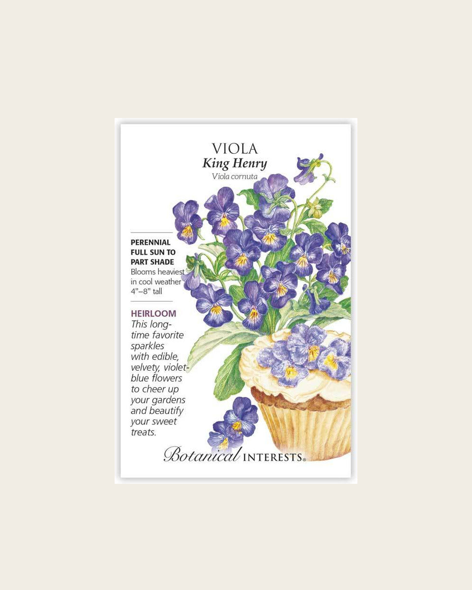 Viola, King Henry Viola Seeds – Heirloom بنفسج