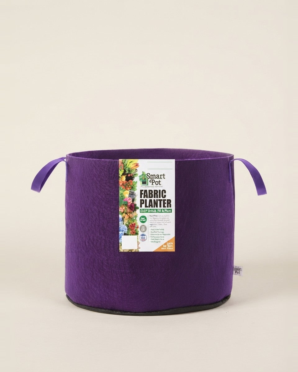 Violet Smart Pot w/ Handles حوض نباتات
