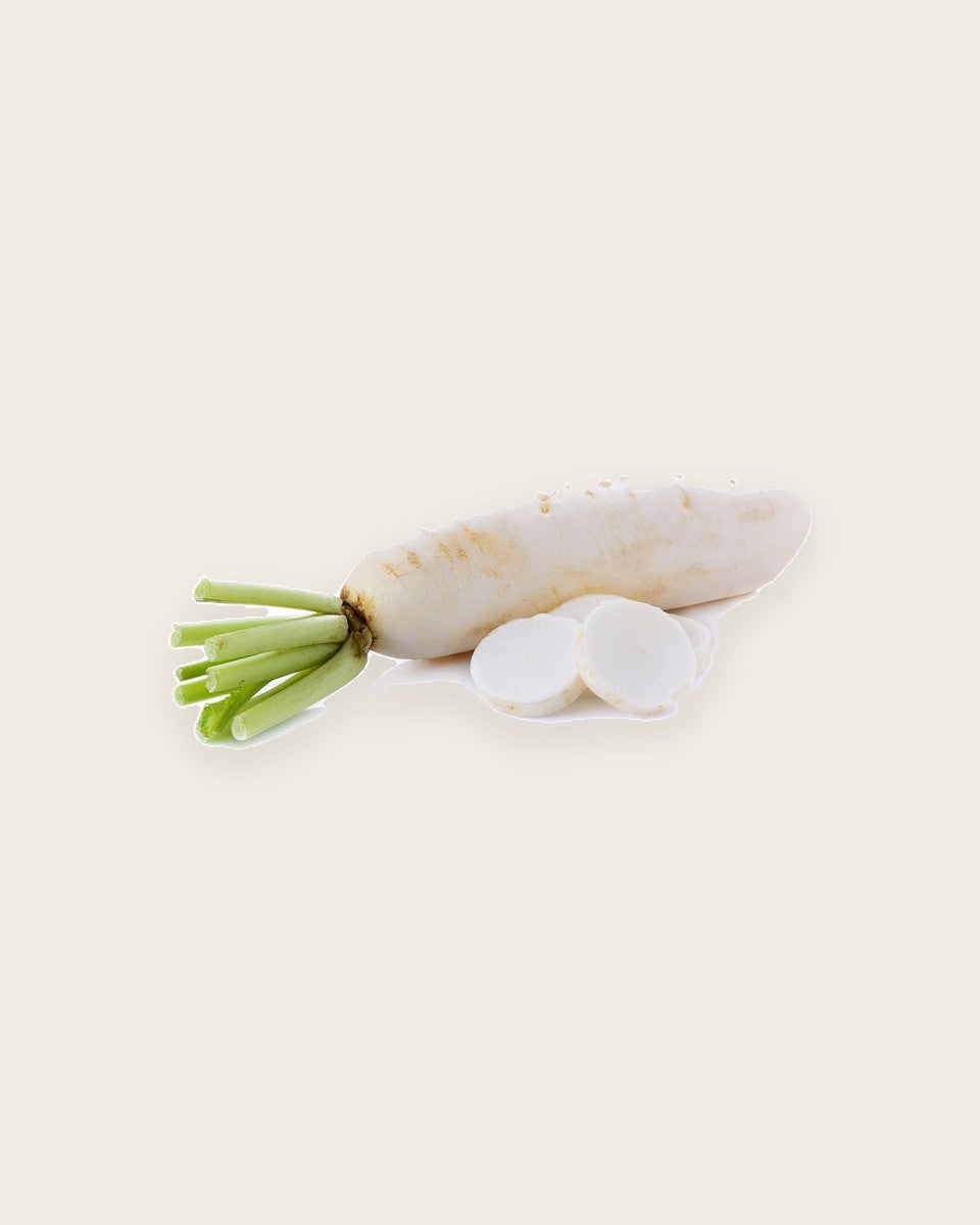 White Radish - Organic