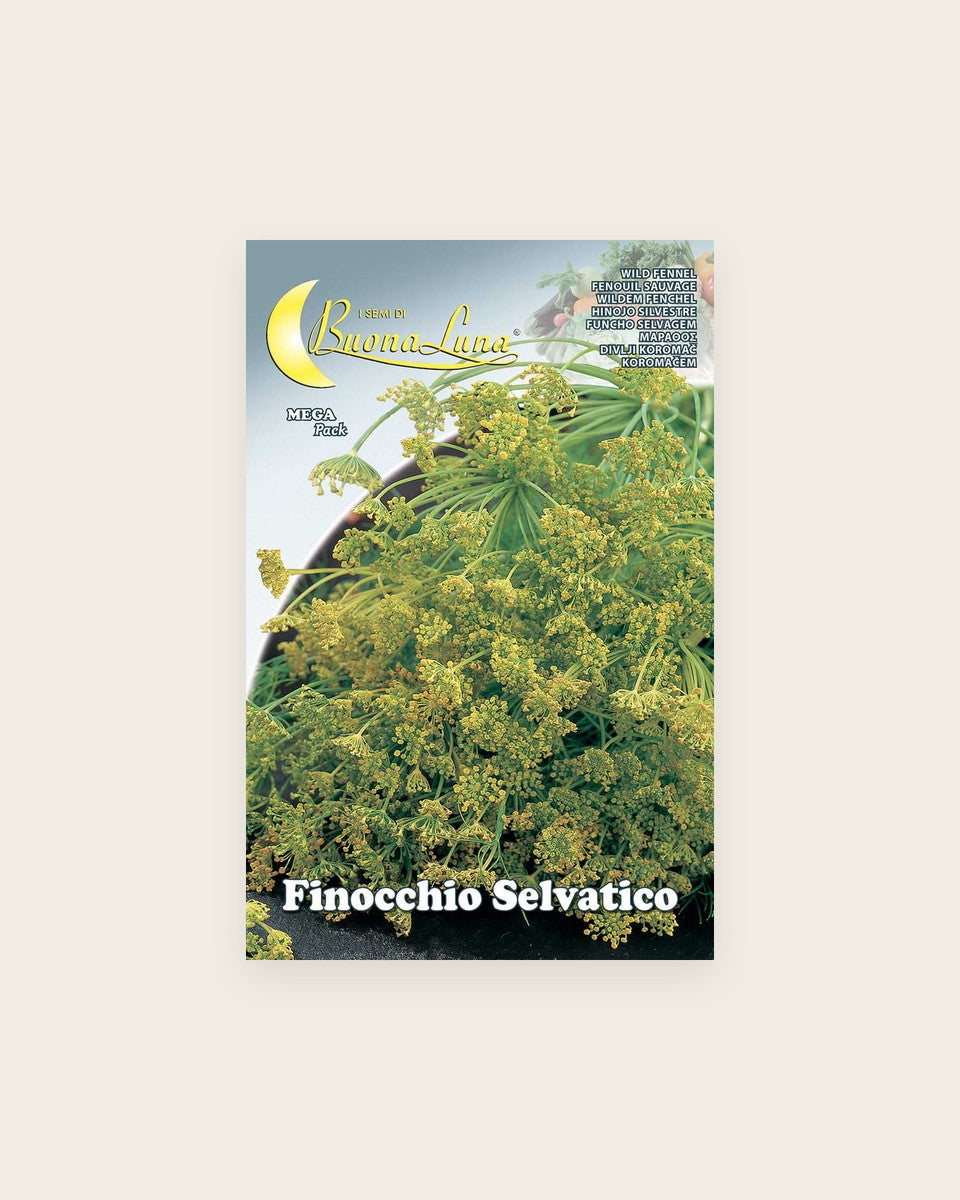 Wild Fennel