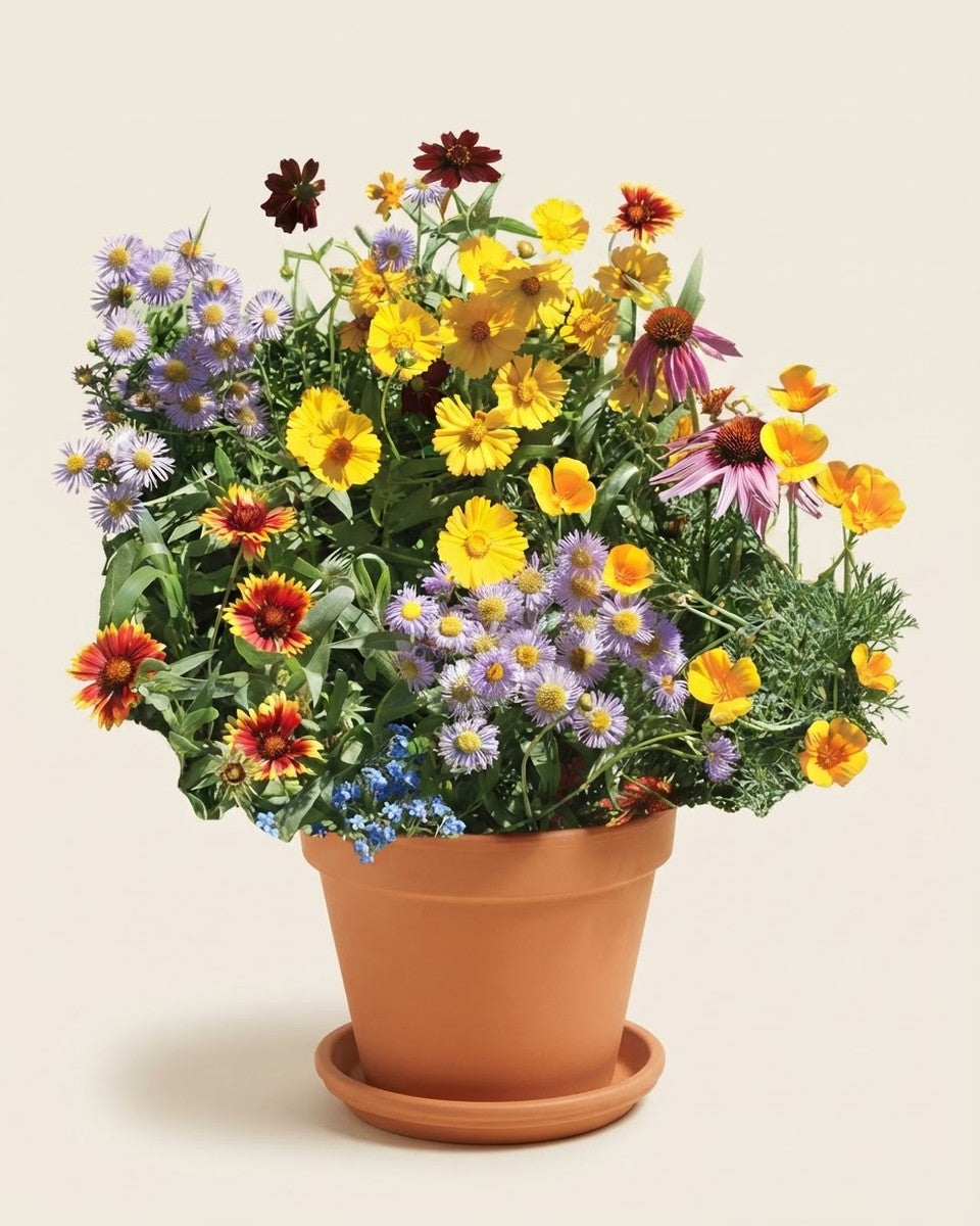 Wild Flowers Bee Mix