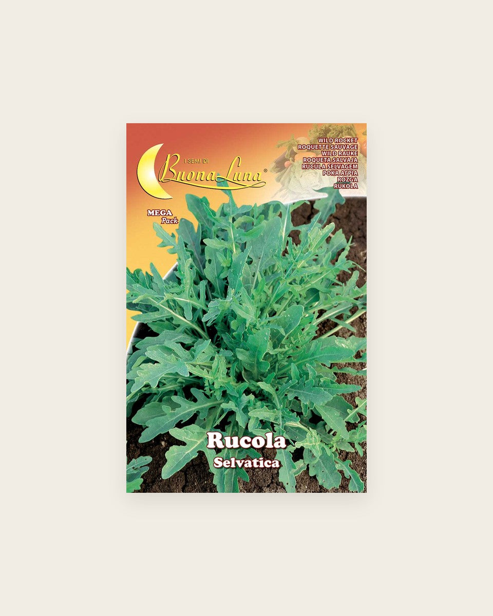 Wild Rocket / Arugula