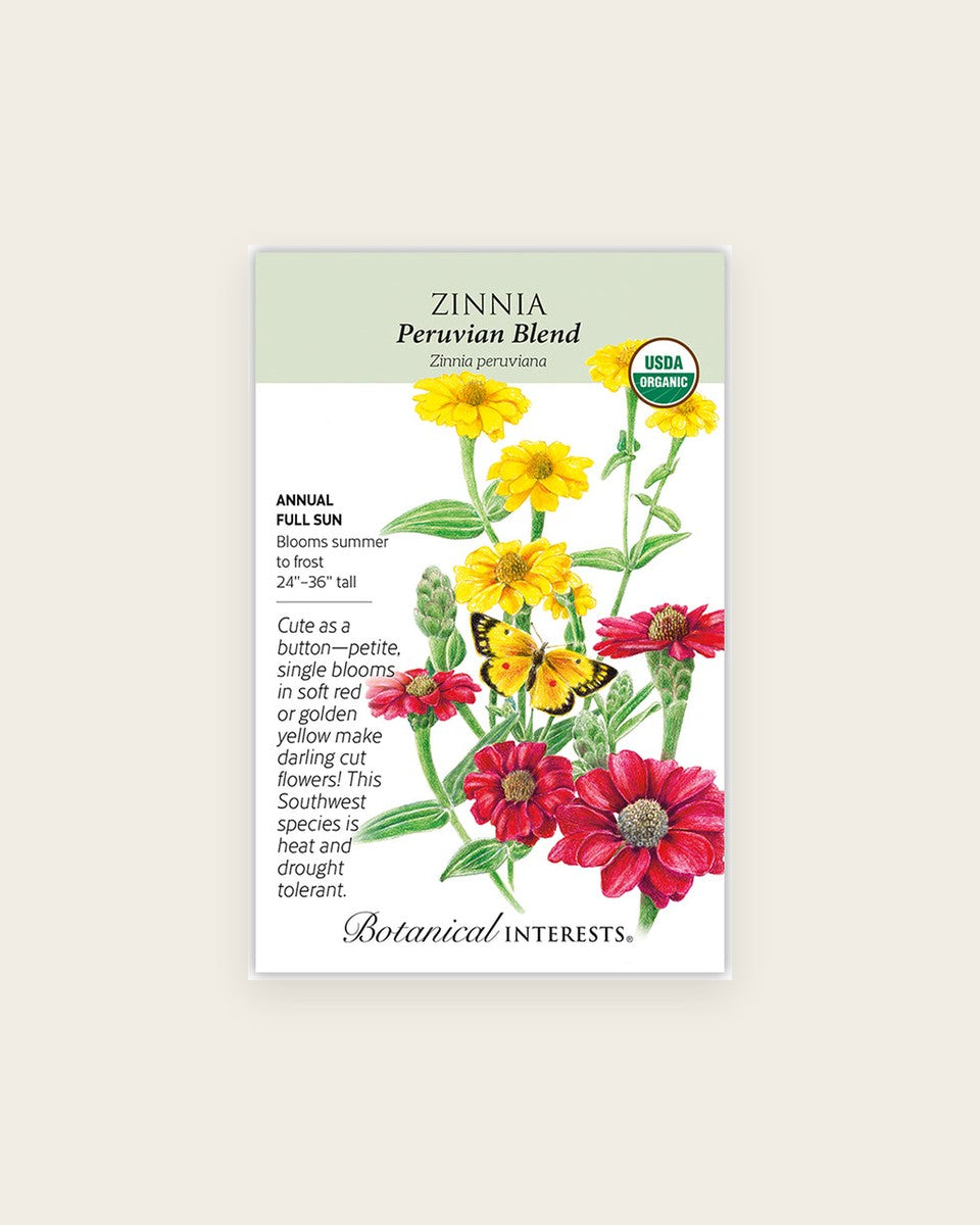 Zinnia, Peruvian Blend Zinnia Seeds – Organic زينيا