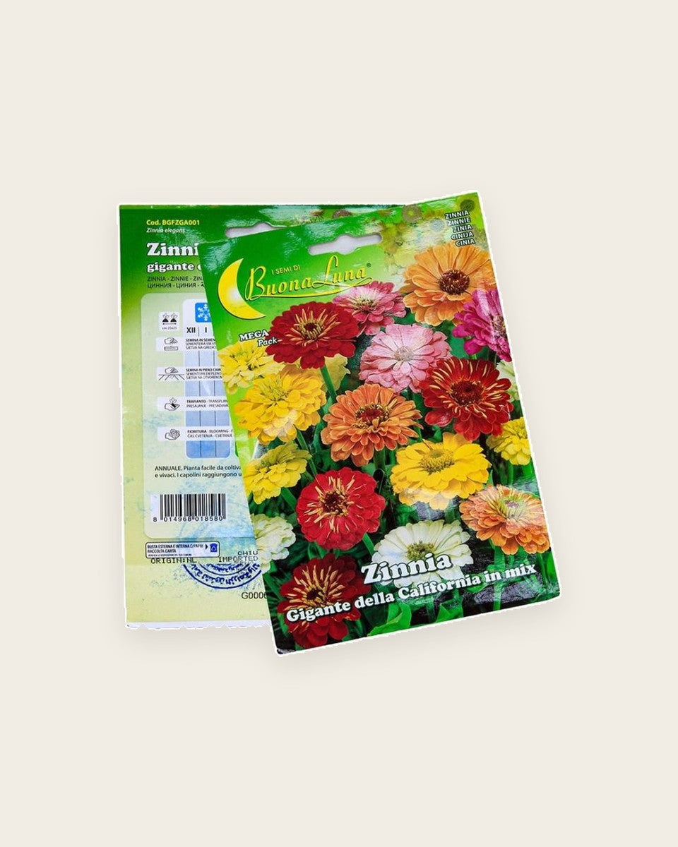 Zinnia Seeds زينيا